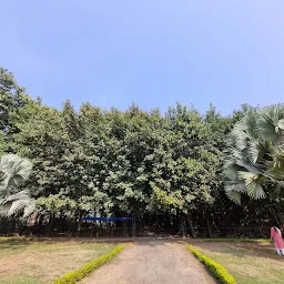 Vishwamandir Garden