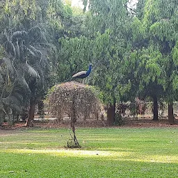 Vishwamandir Garden