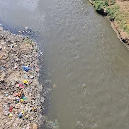 Vishwamitri Bridge Mujmahuda