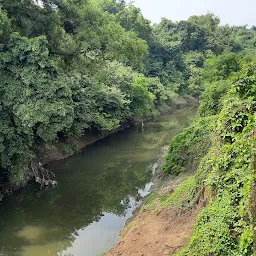 Vishwamitri River Sample Point