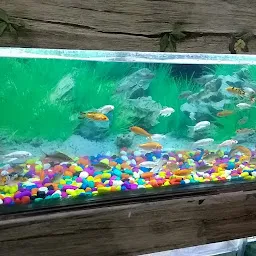 Vivek Fish Aquarium