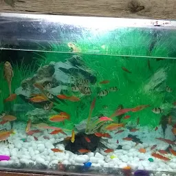 Vivek Fish Aquarium