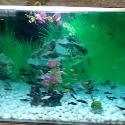 Vivek Fish Aquarium