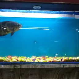 Vivek Fish Aquarium