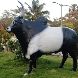 Vivekananda Kendra Botanical Garden