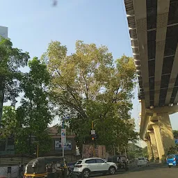 Wadia College Campus Gate 1