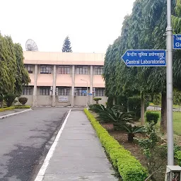 Wadia Institute of Himalayan Geology