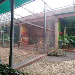 Walk through Aviary