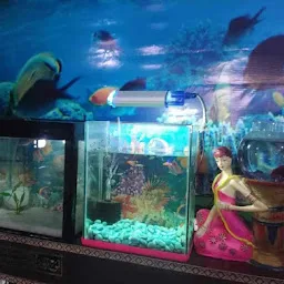 Warsi Fish Aquarium
