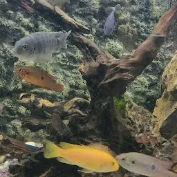 Water World Aquarium