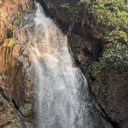 Waterfalls sarugudu