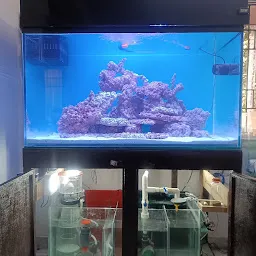 wave aquarium services (Marine Aquarium Fish Shop)
