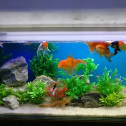 wave aquarium services (Marine Aquarium Fish Shop)