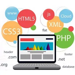 Website Designing and Development in Aligarh