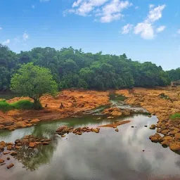 Weir at Ottakkal View Point