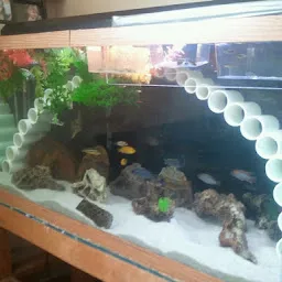 Welcome Fish World And Aquariums