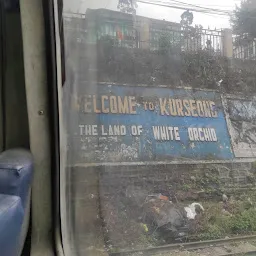 Welcome to Kurseong, Hill cart road