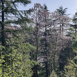 Western Himalayan Temperate Arboretum