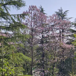 Western Himalayan Temperate Arboretum