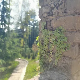 Western Himalayan Temperate Arboretum