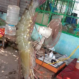 Wholesale Fish Market
