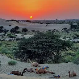 Wild desert and camel safari