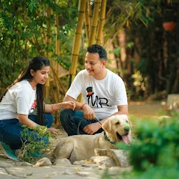 Wolfdoorhimalayas Kennel Kotdwara Uttarakhand