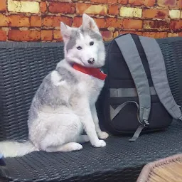 Wolfdoorhimalayas Kennel Kotdwara Uttarakhand