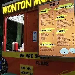 Wonton Momos