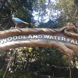Woodland water fall nainital