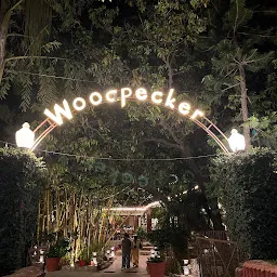 Woodpecker Food Plaza
