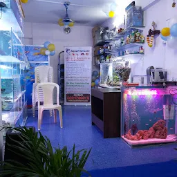 www.aquafishcare.com