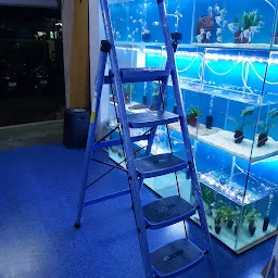 www.aquafishcare.com