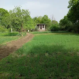 Yadav Farm