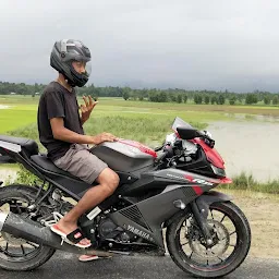 Yamaha Dealer