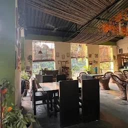 Yan Cure Yoga Retreat & Ayurveda Centre