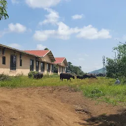 Yoga vidya gurukul