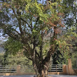 Yogant Foundation - Yoga Ashram in Rishikesh India