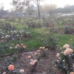 Zakir Hussain Rose Garden