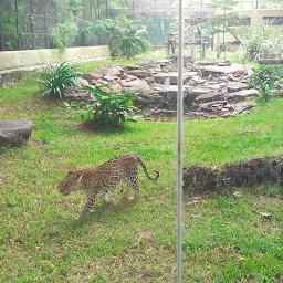 Zebra House