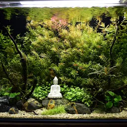 Zen Aqua Living