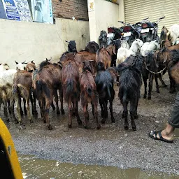 Ziaguda Mutton Market