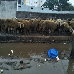 Ziaguda Mutton Market