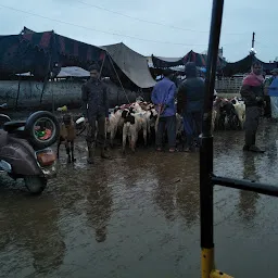 Ziaguda Mutton Market