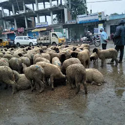 Ziaguda Mutton Market