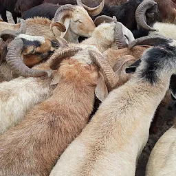 Ziaguda Mutton Market