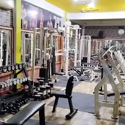 Zimmi's Gym