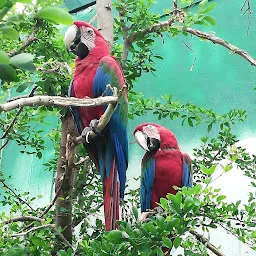 Zoo Chidiya Ghar Indore