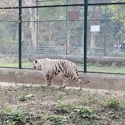 Zoo parking