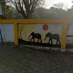 Zoo Parking